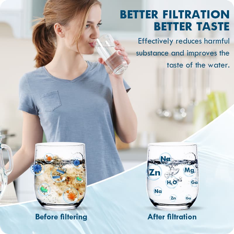 GE GXRTDR inline water filter